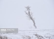 آماده‌باش مدیریت بحران برای برف و کولاک در تهران/ هشدار جدی به کوهنوردان