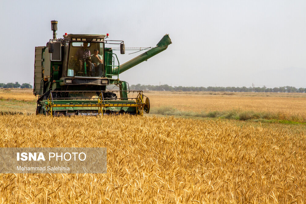 آخرین مهلت ثبت‌نام در بزرگ‌ترین رویداد حوزه کشاورزی شرق آفریقا