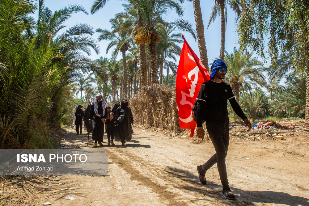 زائران حسینی در مسیر کوفه به کربلا