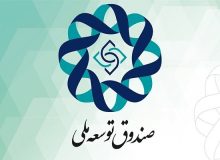 موافقت رهبر انقلاب با پیشنهاد پزشکیان درباره سهم صندوق توسعه ملی