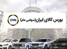 عرضه قطره چکانی خودرو در بورس اشتباه است